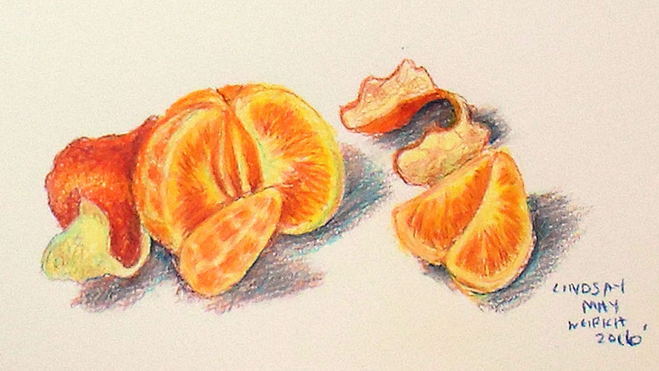 Drawing With A Limited Palette in Colored Pencils
