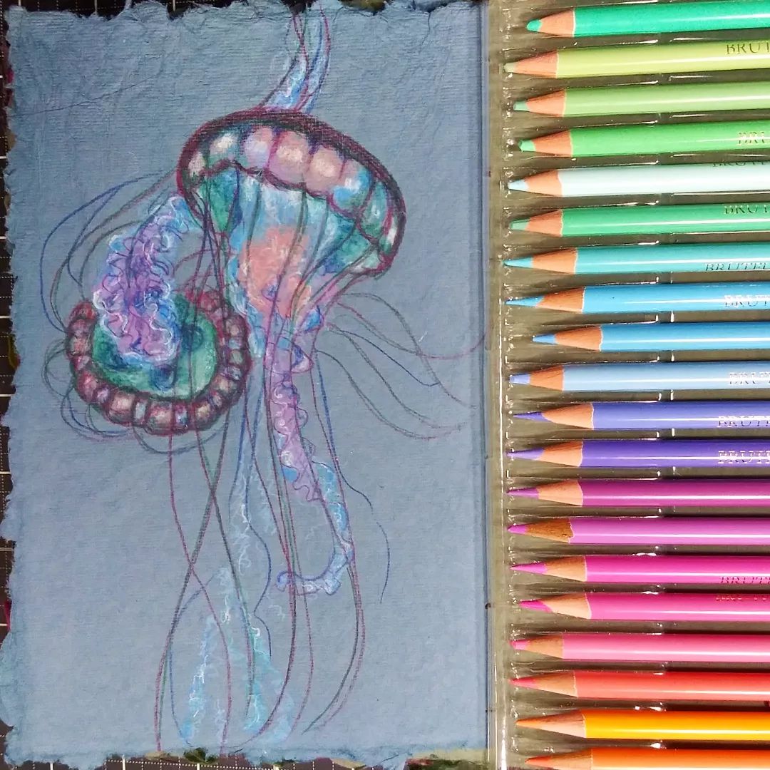 Color Your Own Zentangle Jellyfish Art